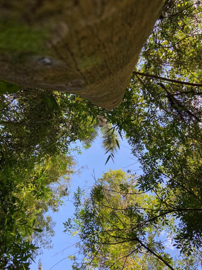 Sitio Metropole - Refugio Na Natureza Пиражу Екстериор снимка